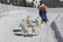 Kandersteg 2013